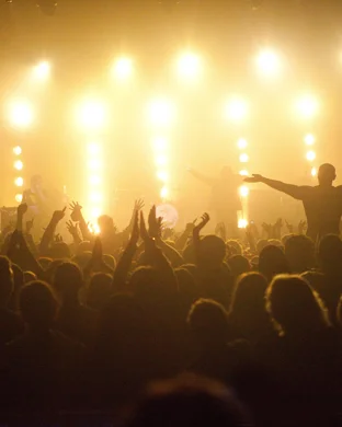 Disney Descendants & Zombies: Worlds Collide